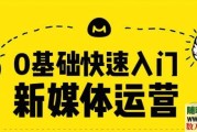 0基础快速入门新媒体运营视频教程10章