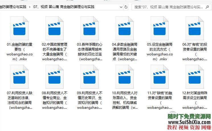 商业金融投资资本运作翟山鹰视频音频企业管理的高端课程全套  翟山鹰视频音频商业金融投资资本运作企业管理的高端课程全集 营销 第8张