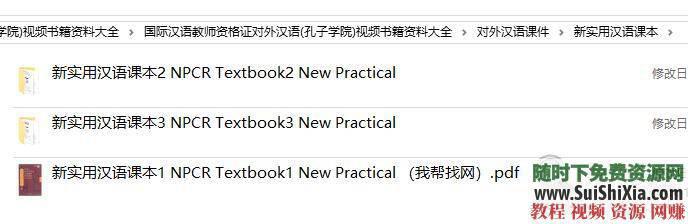 对外汉语视频书籍资料汉语教师资格证考试(孔子学院)  国际汉语教师资格证考试对外汉语(孔子学院)视频书籍资料大全 第5张