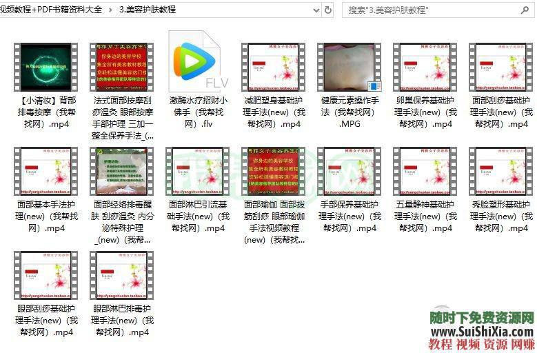 全套面部按摩与保养手法美容护肤洗脸视频教程与PDF书籍资料  美容护肤洗脸面部按摩与保养手法视频教程+PDF书籍资料大全 营销 第4张