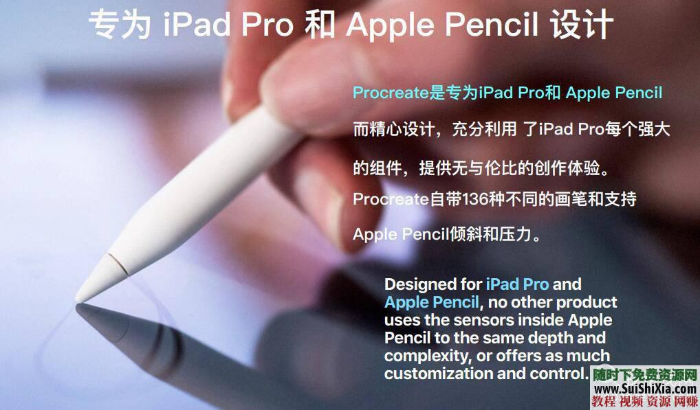 2019中文新功能手册PDF+视频 4大师级画板  Ipad 绘画之Procreate IPAD绘画之Procreate 第3张