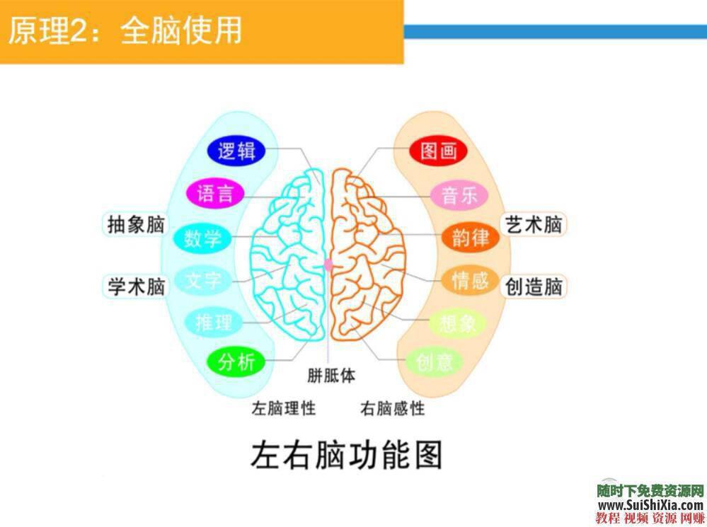 视频教程 PDF讲义合集 课后作业 思维导图实战  思维导图实战视频教程+PDF讲义合集+课后作业 第2张