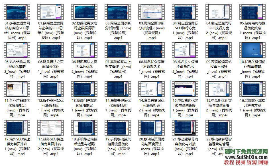 （基础班+高级班） 网站优化关键词排名 2018最新113期SEO搜索引擎视频教程  2018最新113期网站优化SEO搜索引擎关键词排名视频教程（基础班+高级班） 营销 第3张