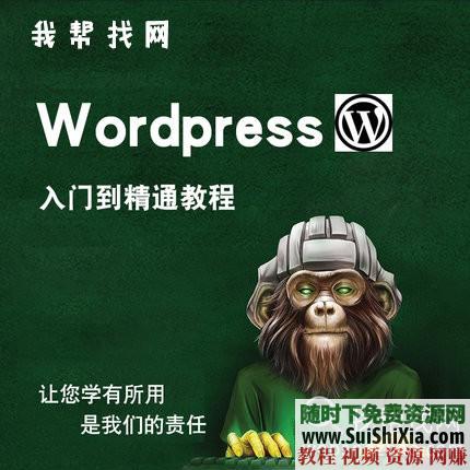 WP主题开发 入门到精通系统教程 WordPress建站  WordPress建站入门到精通系统教程+WP主题开发（某某大学_强烈推荐学习） 第1张