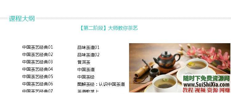 泡茶师零基础入门自学精通 中国茶艺茶道视频教程 全套培训教学  中国茶艺茶道视频教程大全，泡茶师零基础入门自学精通全套培训教学 第4张