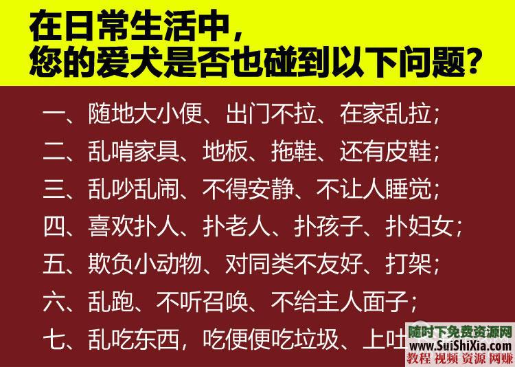 专业训练狗狗 训狗教程训犬视频 定点排便乱叫一点通2018  2018训狗教程训犬视频大全拉多专业训练狗狗定点排便乱叫一点通 第1张