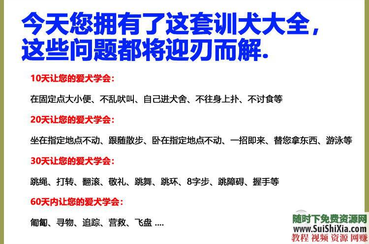 专业训练狗狗 训狗教程训犬视频 定点排便乱叫一点通2018  2018训狗教程训犬视频大全拉多专业训练狗狗定点排便乱叫一点通 第3张