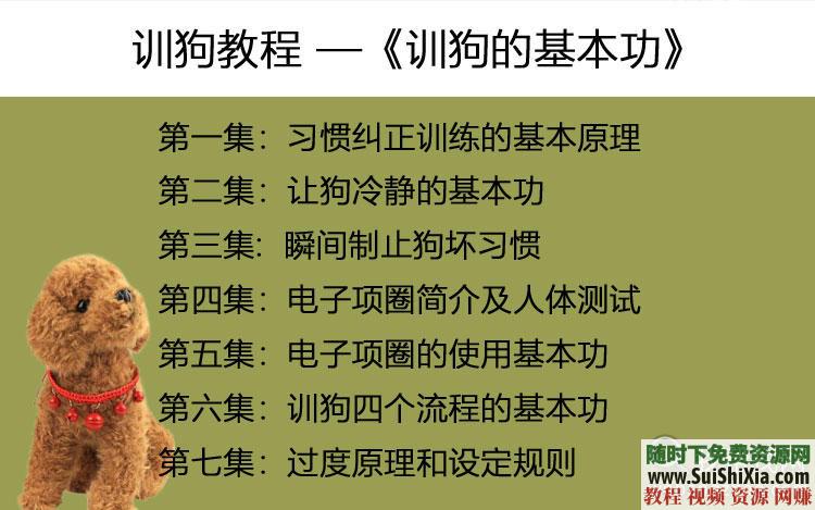 专业训练狗狗 训狗教程训犬视频 定点排便乱叫一点通2018  2018训狗教程训犬视频大全拉多专业训练狗狗定点排便乱叫一点通 第6张