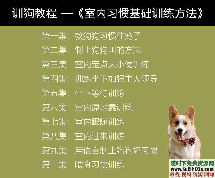 专业训练狗狗 训狗教程训犬视频 定点排便乱叫一点通2018  2018训狗教程训犬视频大全拉多专业训练狗狗定点排便乱叫一点通 第7张