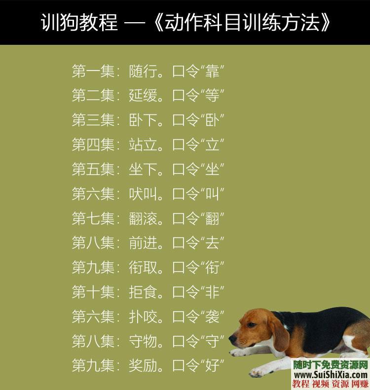 专业训练狗狗 训狗教程训犬视频 定点排便乱叫一点通2018  2018训狗教程训犬视频大全拉多专业训练狗狗定点排便乱叫一点通 第9张