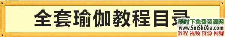 零基础自学初级入门 孕妇产后恢复+瑜伽视频教程全套+普拉提健身教学  瑜伽视频教程全套，自学初级入门，零基础普拉提健身教学，孕妇产后恢复 第4张