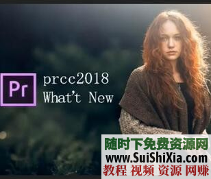 完整Adobe Premiere CC 2018版视频教程+素材包全套