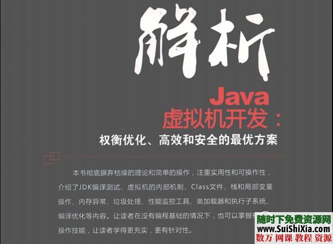 解析Java虚拟机器开发：权衡优化、高校和安全的最优方案下载PDF版 第2张