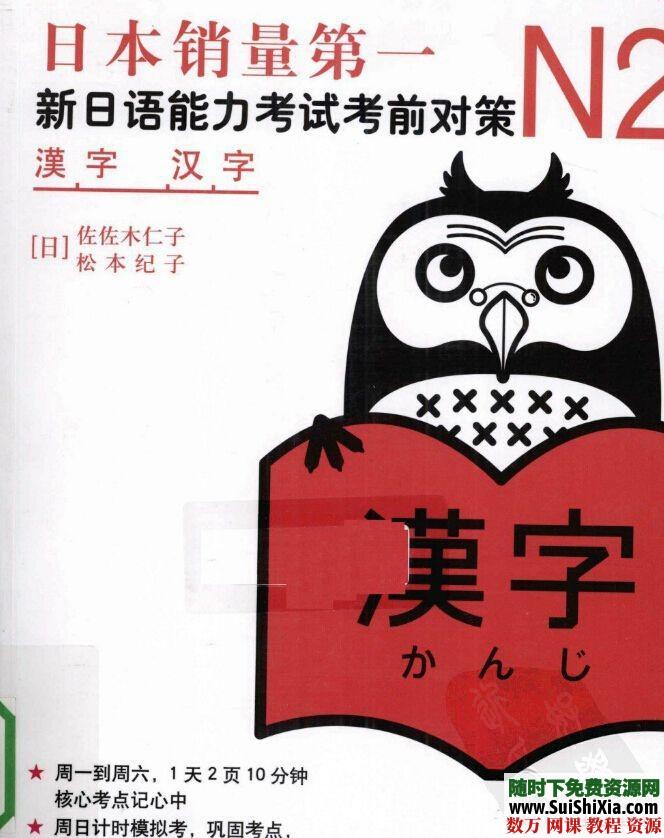 新日本语能力考试N1N2文法红宝书蓝宝书（详解+练习） 第3张