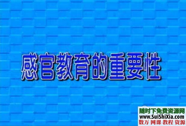 蒙特梭利早教胎教家庭教育资料全套打包下载 第1张