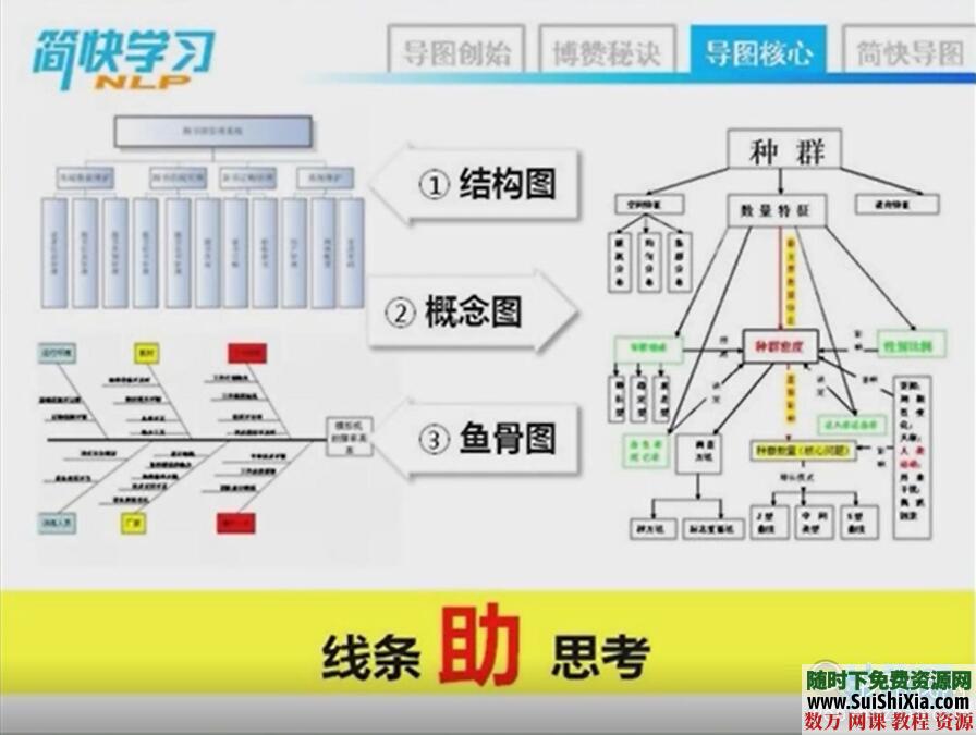 思维导图制作速成视频教程 第7张