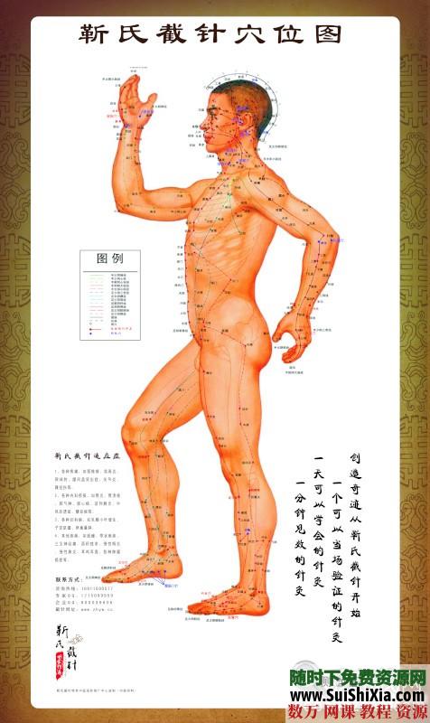 最新截针视频课程+内部秘方+宣传资料+穴位图以及案例打包 第7张