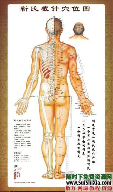 最新截针视频课程+内部秘方+宣传资料+穴位图以及案例打包 第8张