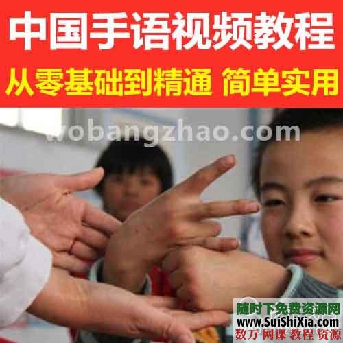 零基础入门聋哑人【手语视频】学习课程大全自学国际准通手语 第1张