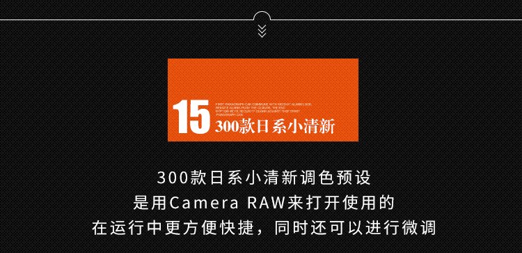 带安装教程必备20款PS插件Potoshop滤镜合集有WIN和MAC版本 第49张